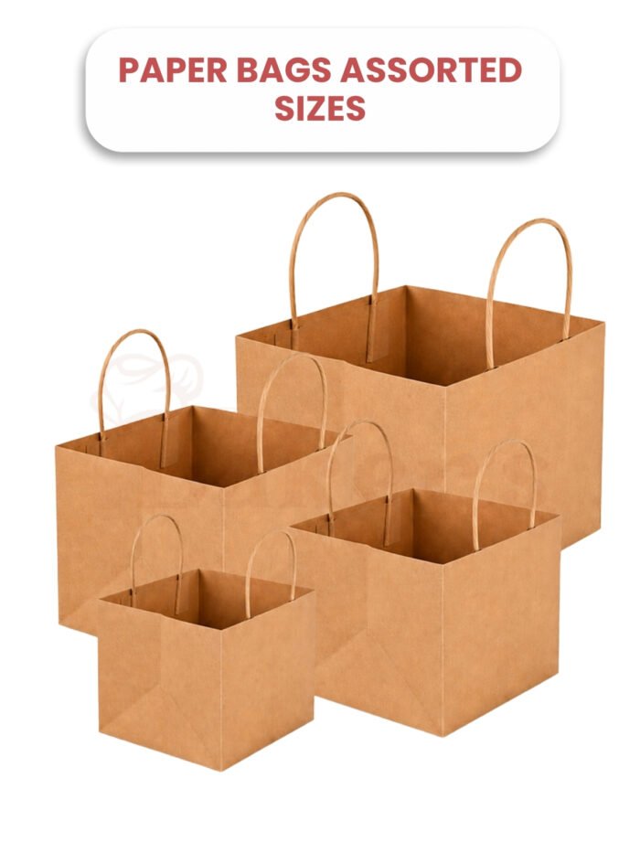Paper Bags – Assorted Sizes (Pack of 5 Pcs)